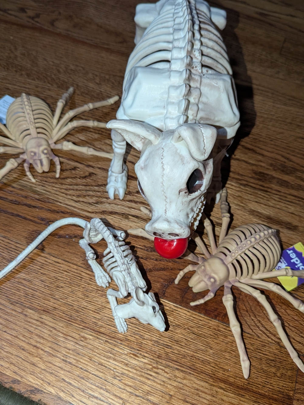 Decorative Reptile Skeleton Dog Toy - Cream with Red Ball + Rat And 2 Spiders